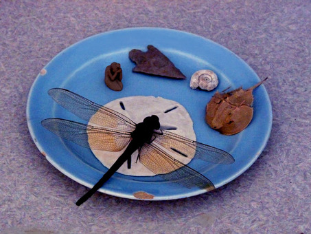 Blue Orb Transformation